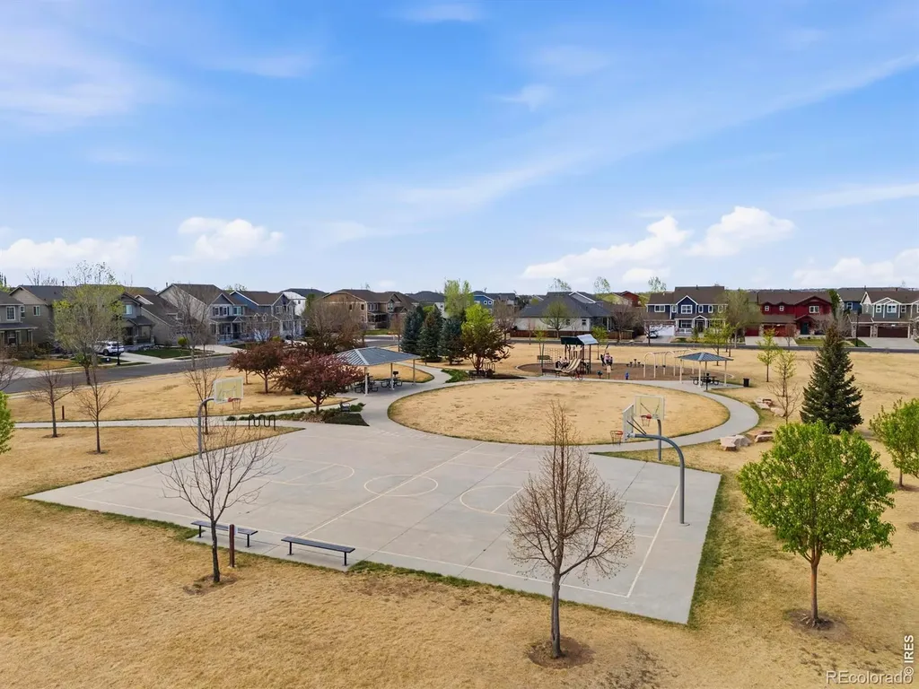 6528 Richland Avenue Timnath CO 80547