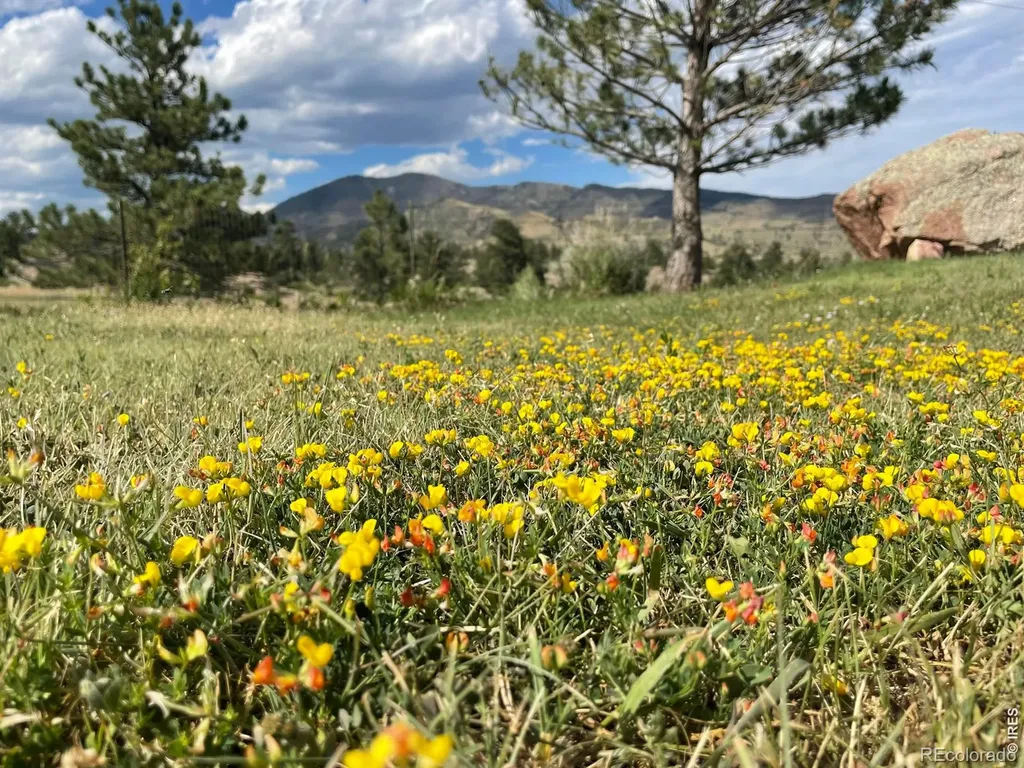 294 Wedge Rock Drive Lyons CO 80540