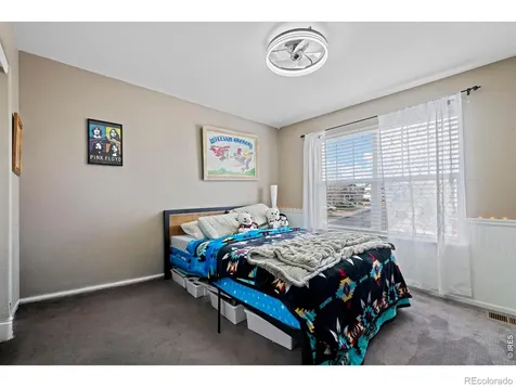 8255 El Jebel Loop Castle Rock CO 80108
