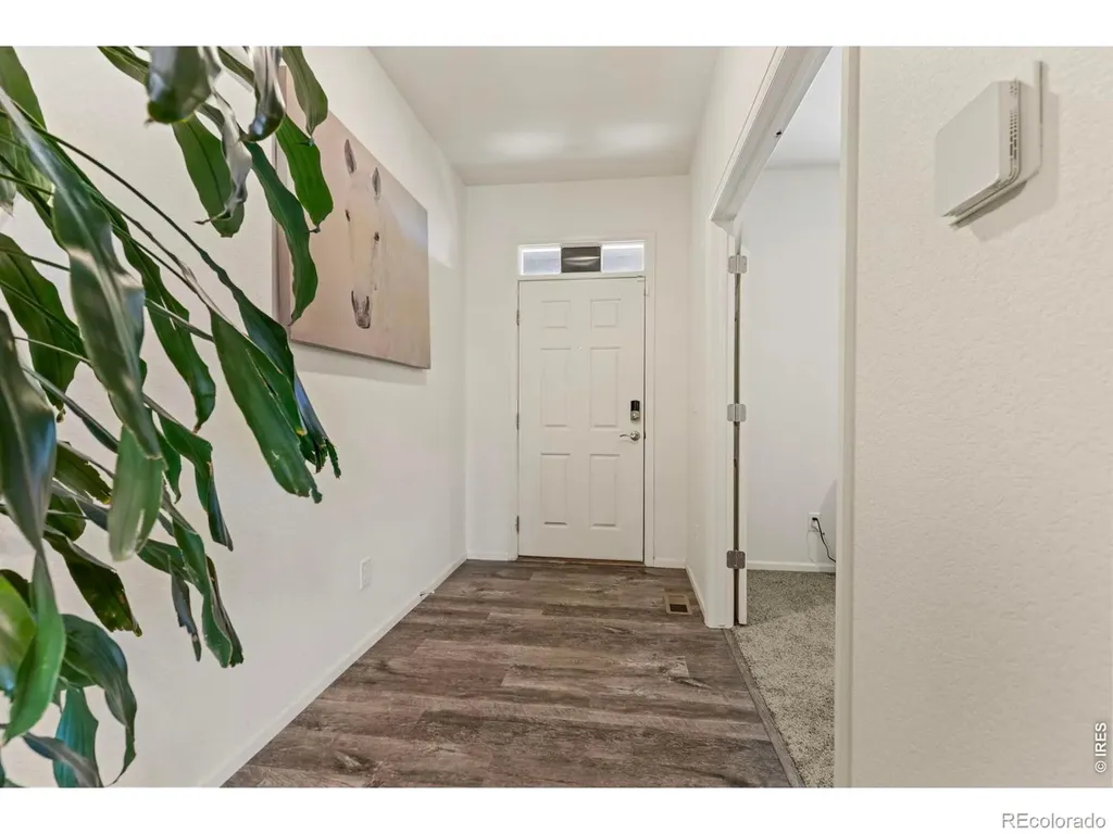 885 Camberly Drive Windsor CO 80550
