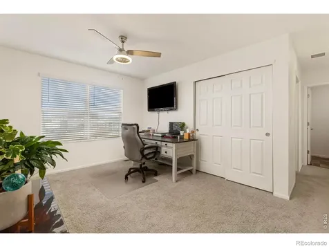 885 Camberly Drive Windsor CO 80550