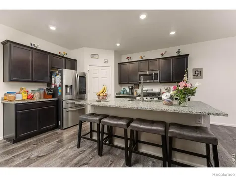885 Camberly Drive Windsor CO 80550