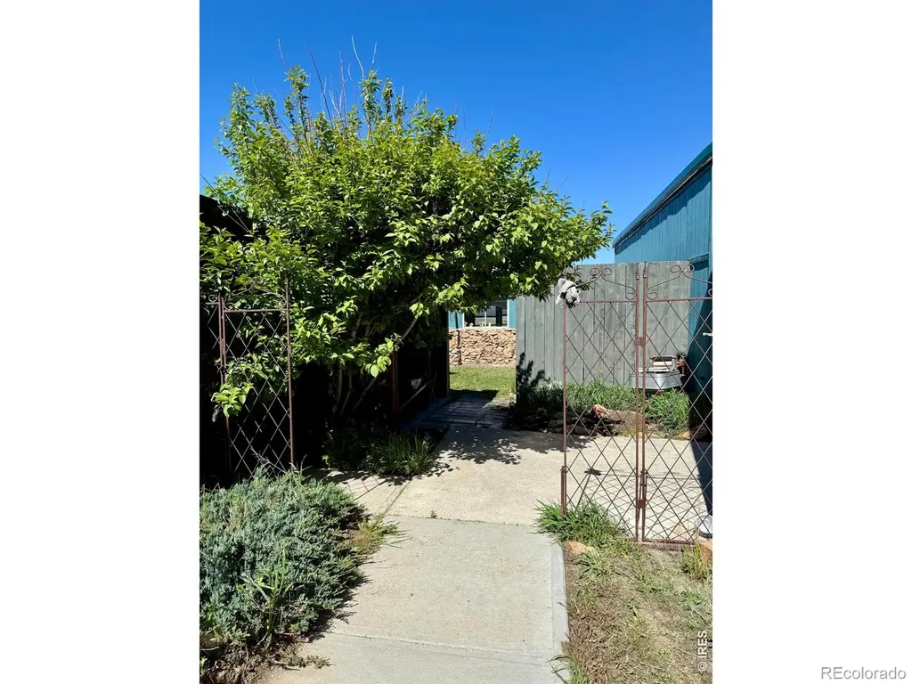 417 Grant Street Walden CO 80480