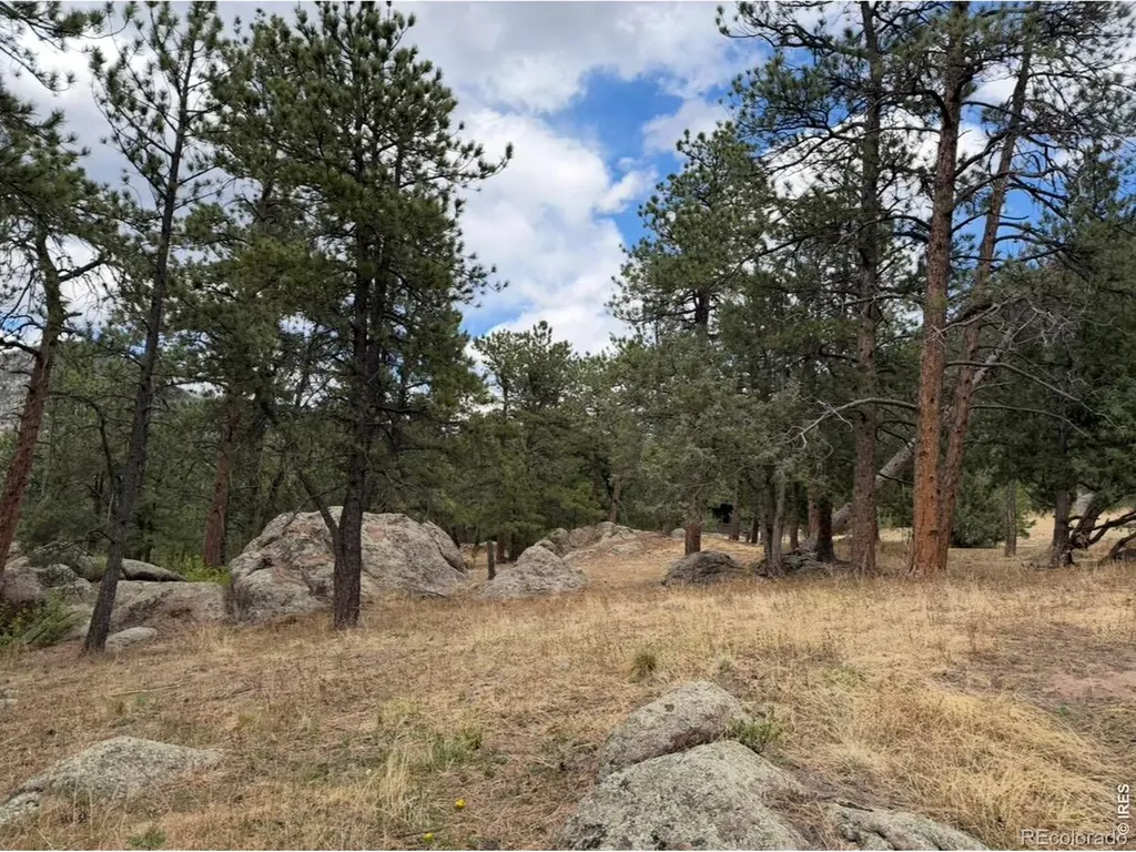 8 Estes Park Estates Drive Lyons CO 80540
