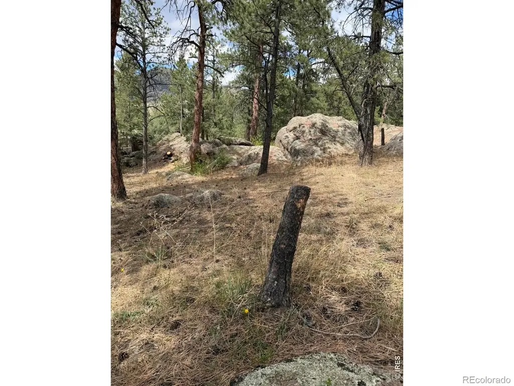 8 Estes Park Estates Drive Lyons CO 80540