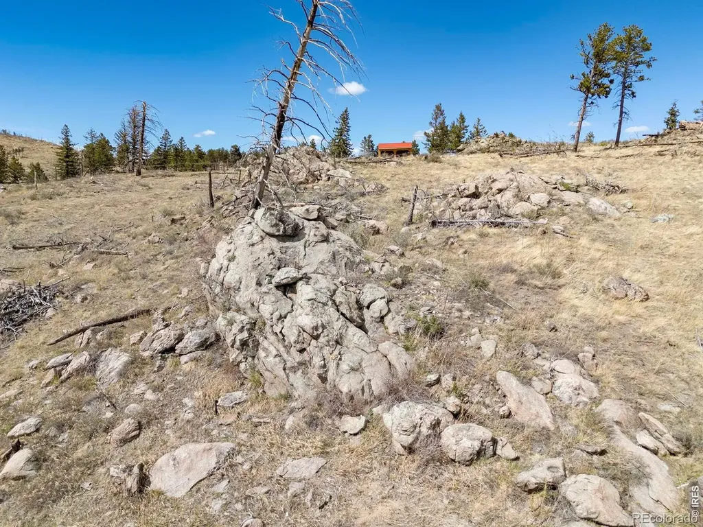 3069 Davis Ranch Road Bellvue CO 80512