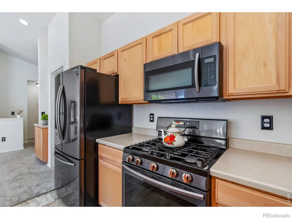 259 Castle Drive Severance CO 80550