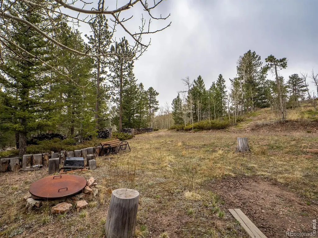 384 Ute Court Red Feather Lakes CO 80545