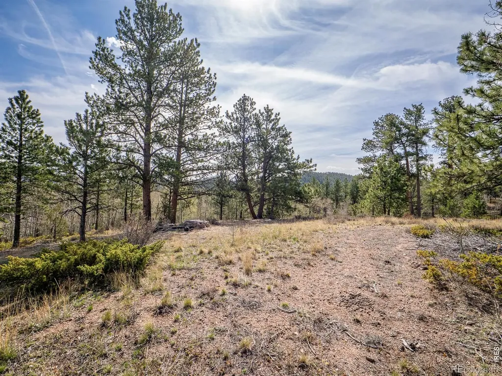 384 Ute Court Red Feather Lakes CO 80545