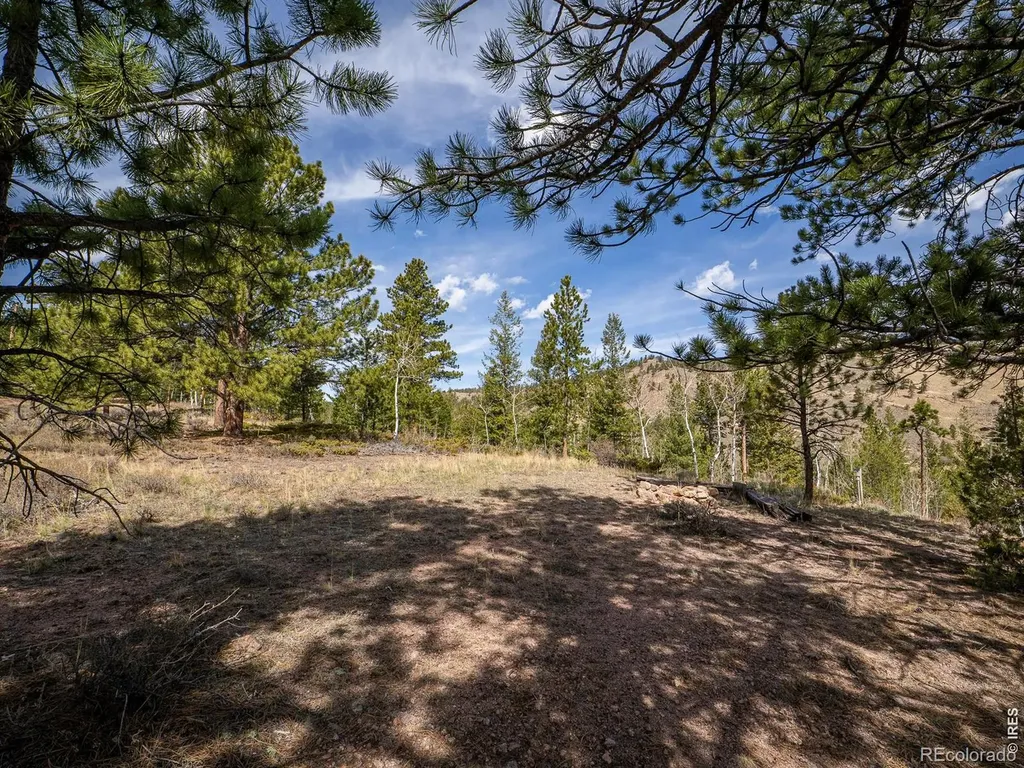384 Ute Court Red Feather Lakes CO 80545