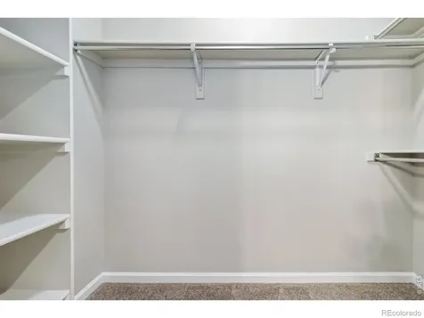 2178 Cape Hatteras Drive Windsor CO 80550