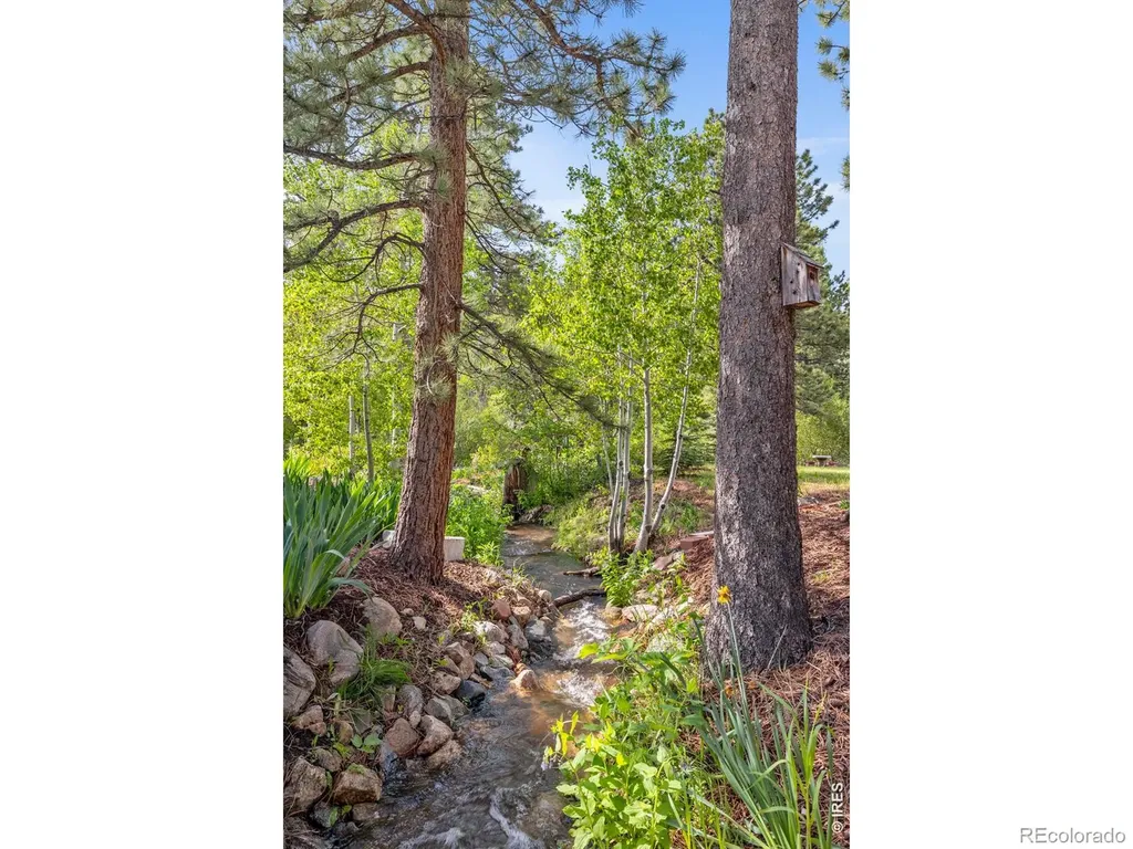 428 Rustic Road Bellvue CO 80512