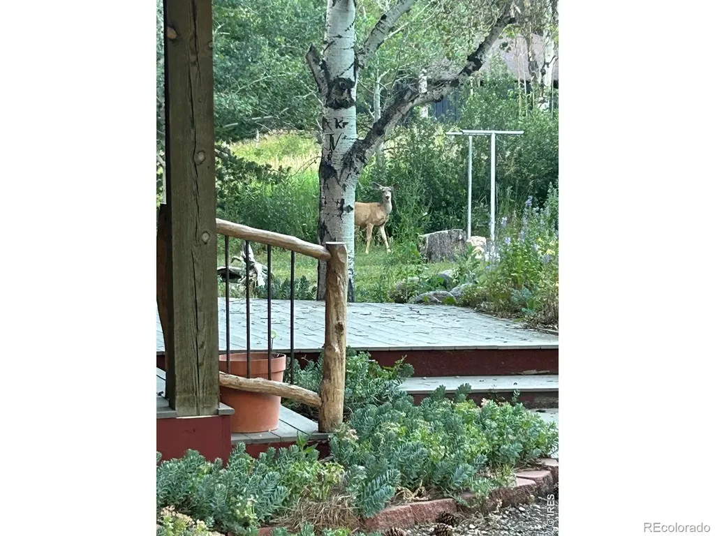 428 Rustic Road Bellvue CO 80512