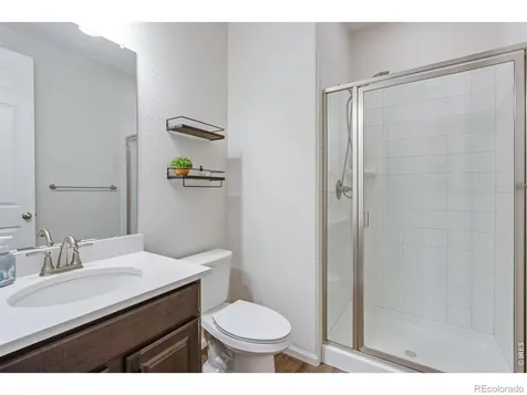 5604 Congressional Court Windsor CO 80528