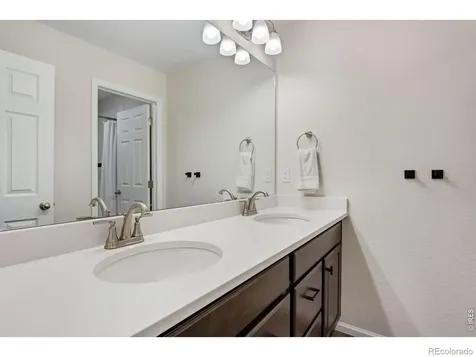 5604 Congressional Court Windsor CO 80528