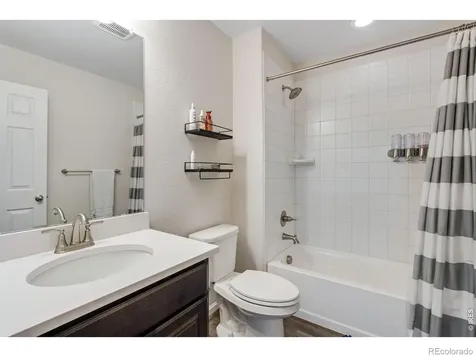 5604 Congressional Court Windsor CO 80528