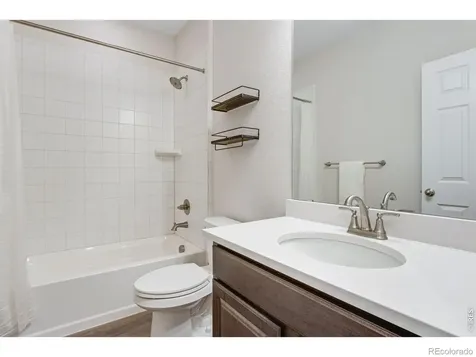 5604 Congressional Court Windsor CO 80528