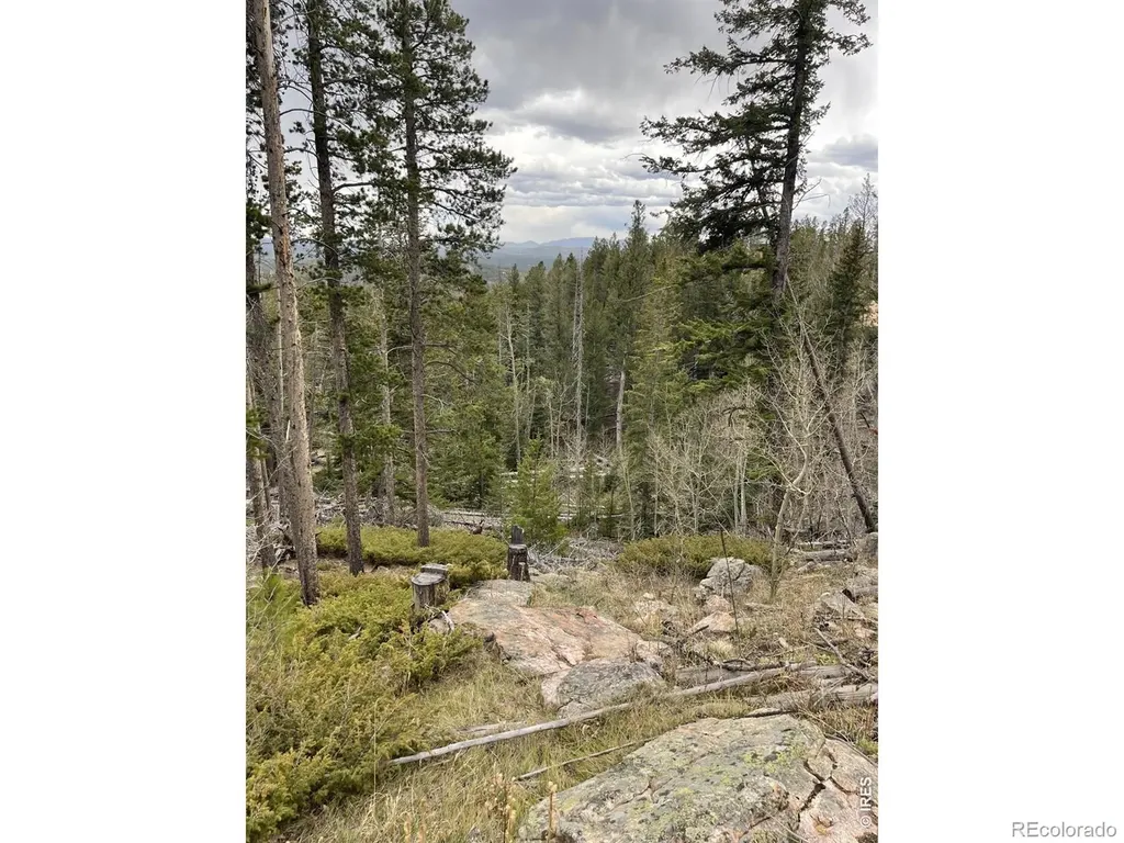 66 Piegan Court Red Feather Lakes CO 80545