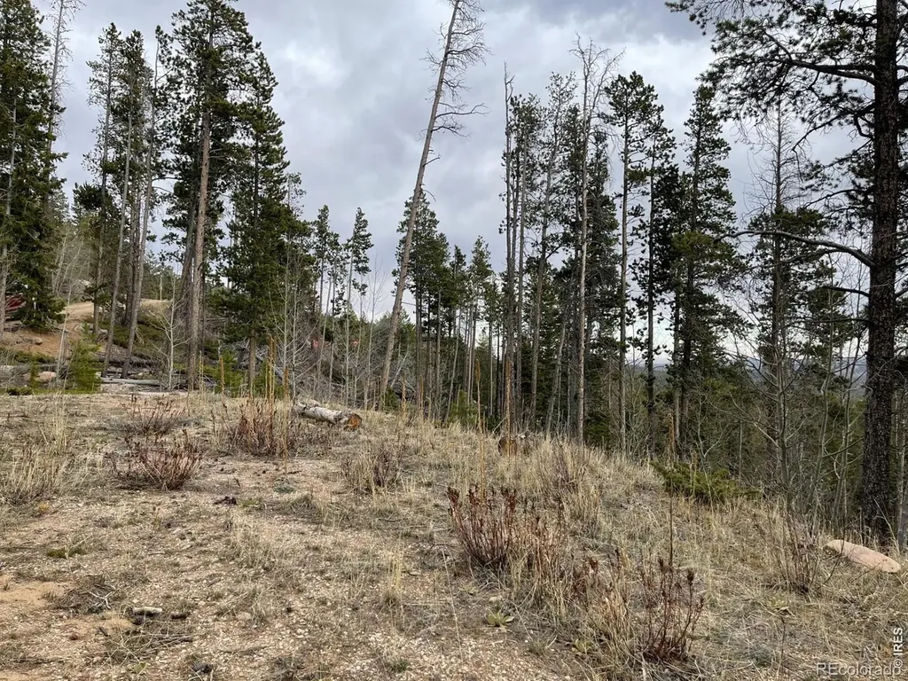 66 Piegan Court Red Feather Lakes CO 80545