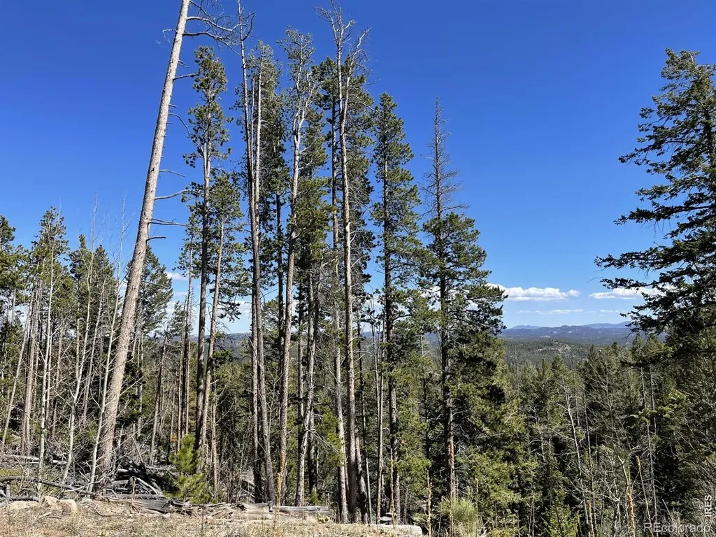 66 Piegan Court Red Feather Lakes CO 80545