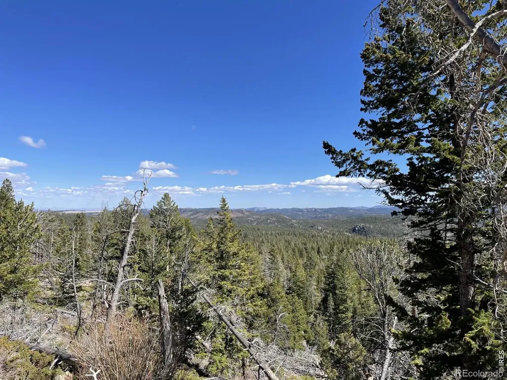 66 Piegan Court Red Feather Lakes CO 80545