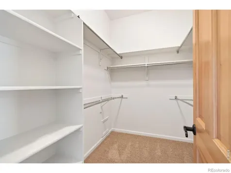 6535 Half Moon Bay Drive Windsor CO 80550