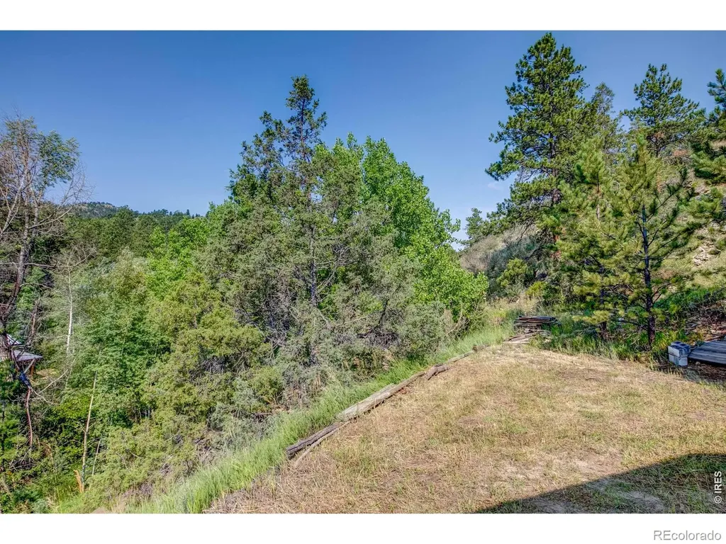 1142 Streamside Drive Glen Haven CO 80532