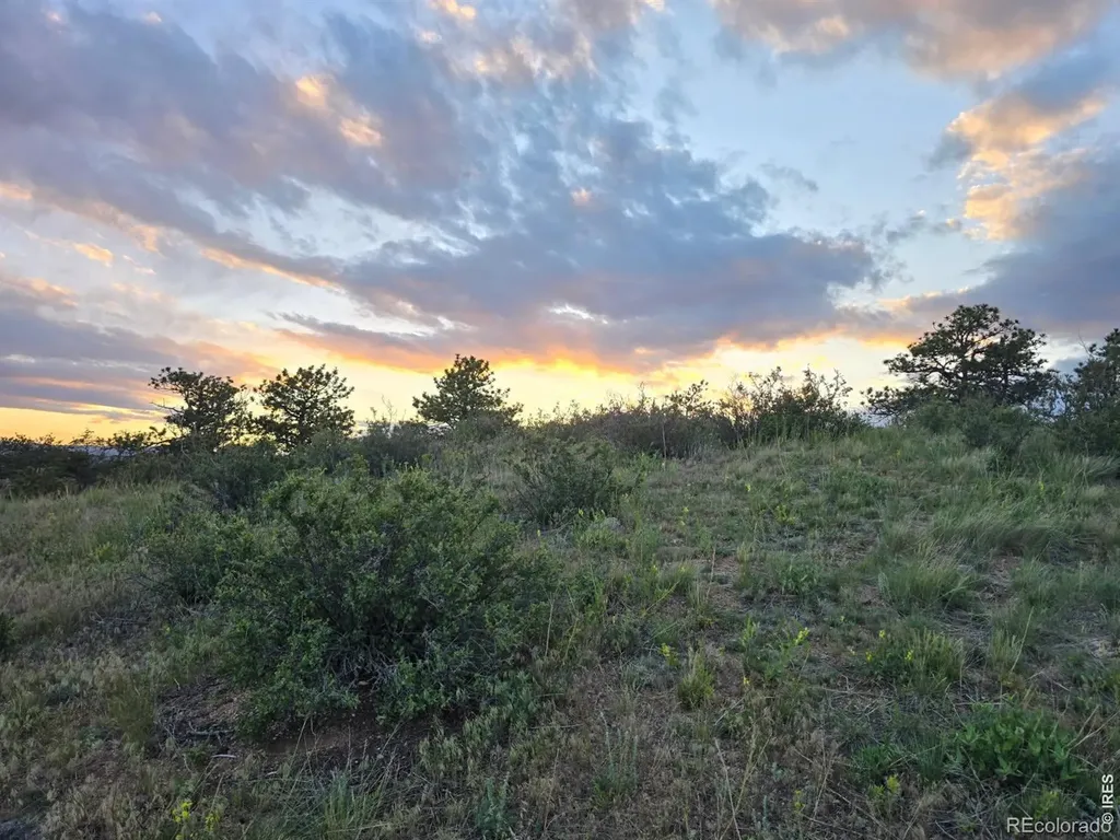 795 Sundance Drive Livermore CO 80536