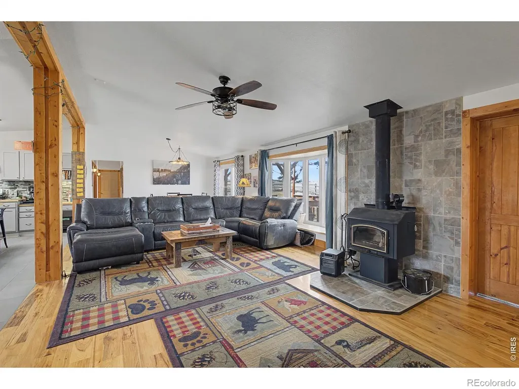 223 Timber Trail Livermore CO 80536