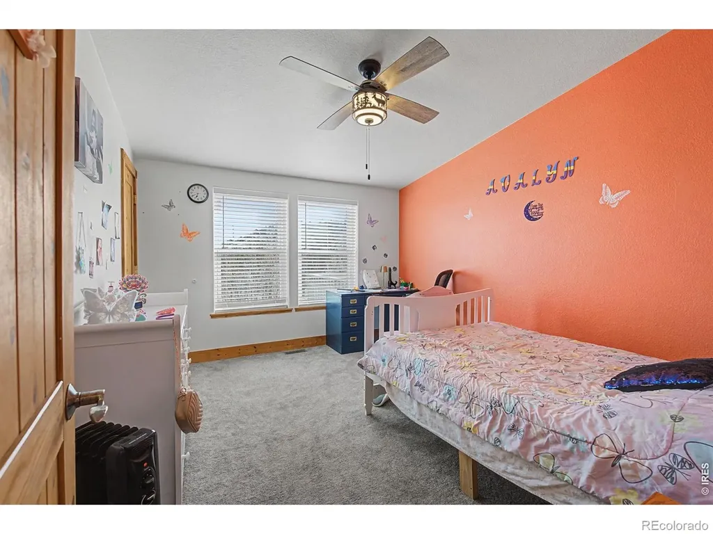 223 Timber Trail Livermore CO 80536