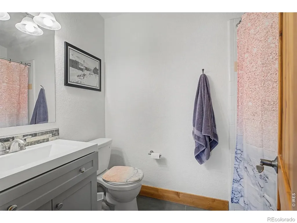 223 Timber Trail Livermore CO 80536