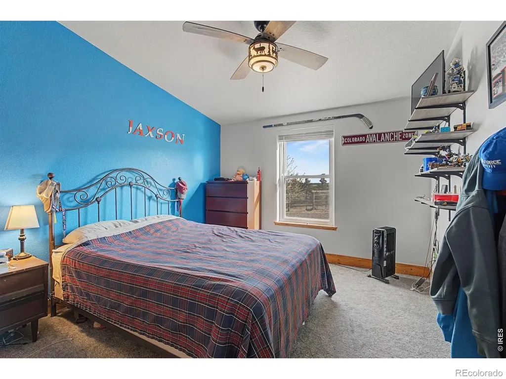 223 Timber Trail Livermore CO 80536