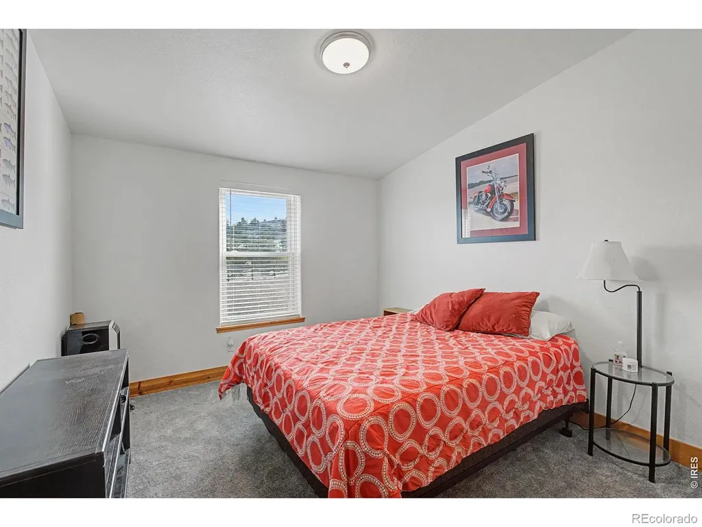 223 Timber Trail Livermore CO 80536