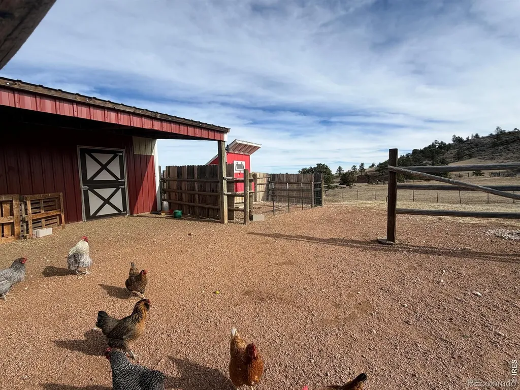 223 Timber Trail Livermore CO 80536