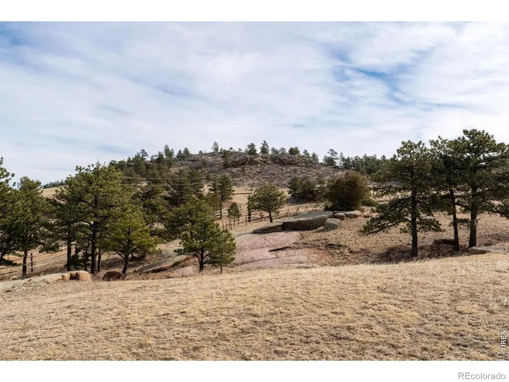 223 Timber Trail Livermore CO 80536