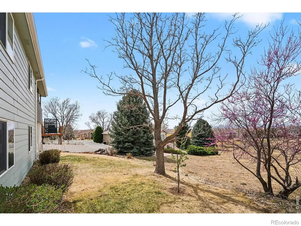 2282 Birdie Drive Milliken CO 80543