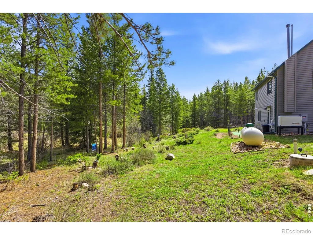 236 Mescalero Drive Red Feather Lakes CO 80545