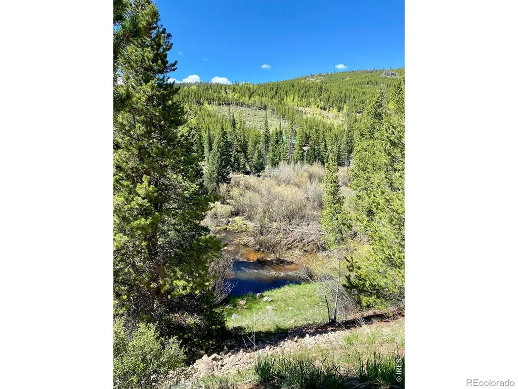 236 Mescalero Drive Red Feather Lakes CO 80545