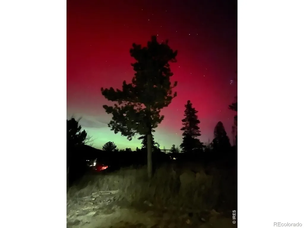 141 Tami Road Red Feather Lakes CO 80545