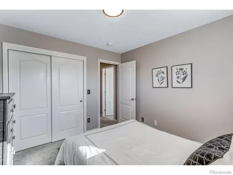 8106 Northstar Drive Windsor CO 80528