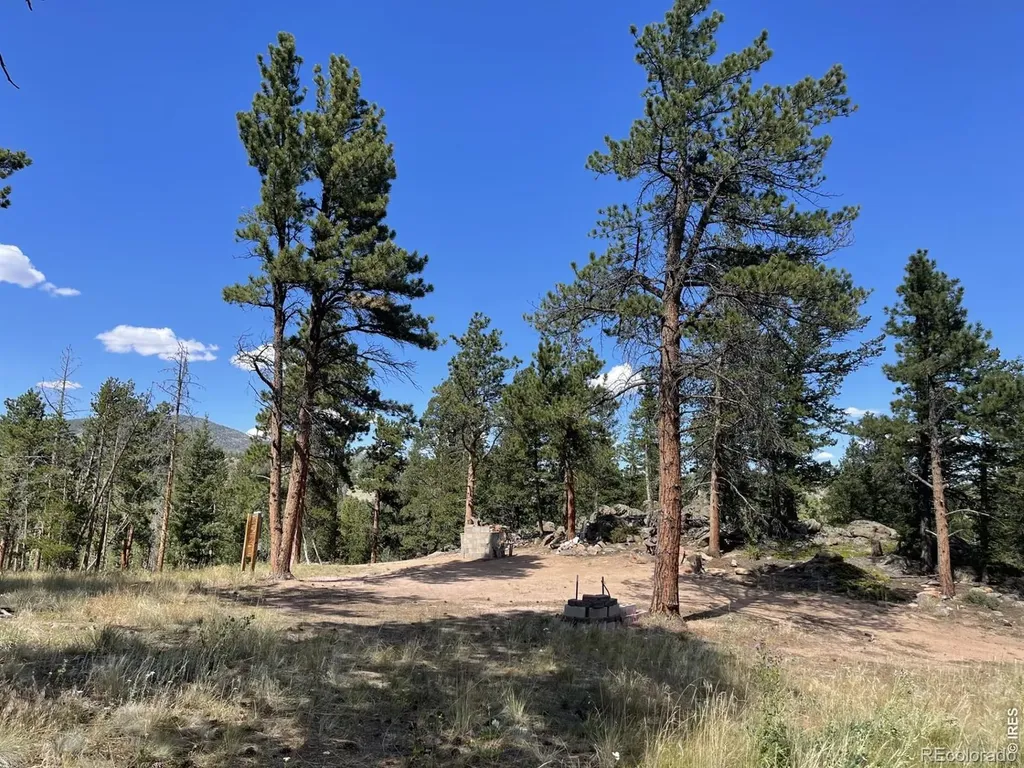 34 Shawnee Road Red Feather Lakes CO 80545
