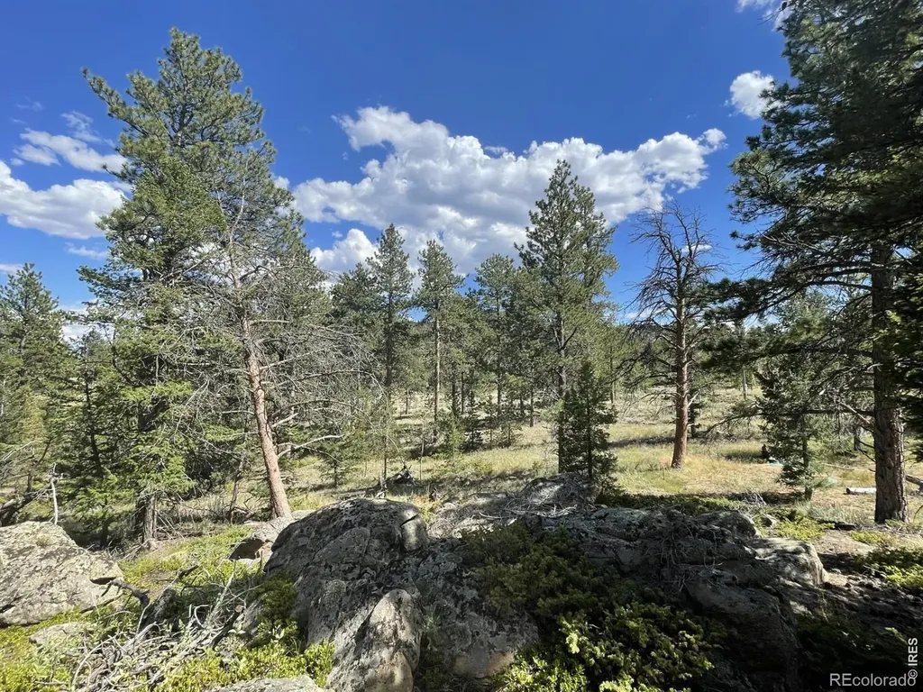 34 Shawnee Road Red Feather Lakes CO 80545