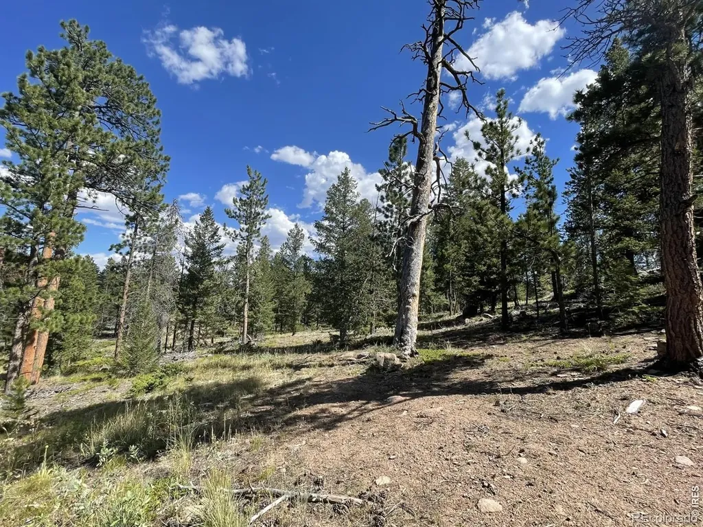 34 Shawnee Road Red Feather Lakes CO 80545