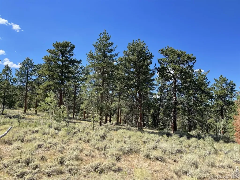 34 Shawnee Road Red Feather Lakes CO 80545