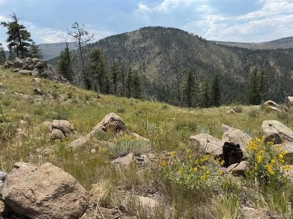 865 Redstone Drive Bellvue CO 80512