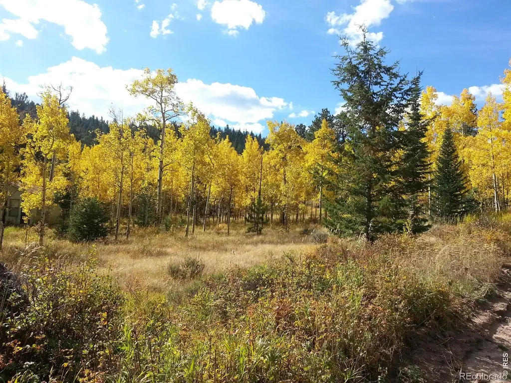 231 Modoc Court Red Feather Lakes CO 80545
