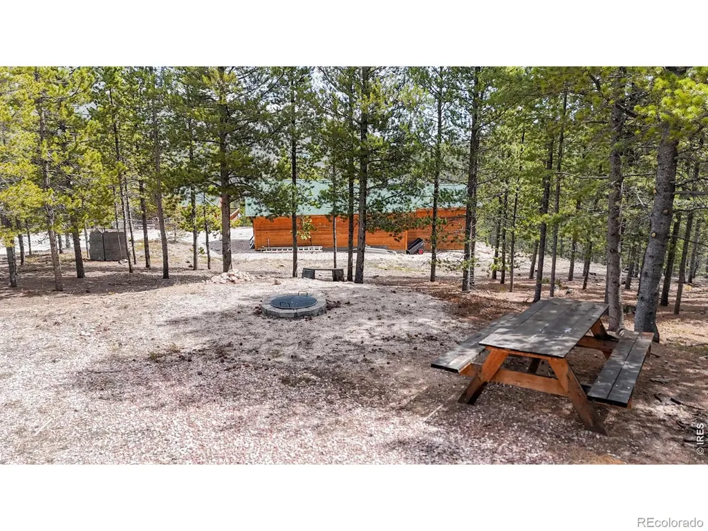 51 Tenino Court Red Feather Lakes CO 80545