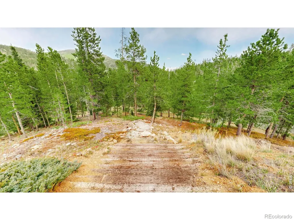 51 Tenino Court Red Feather Lakes CO 80545