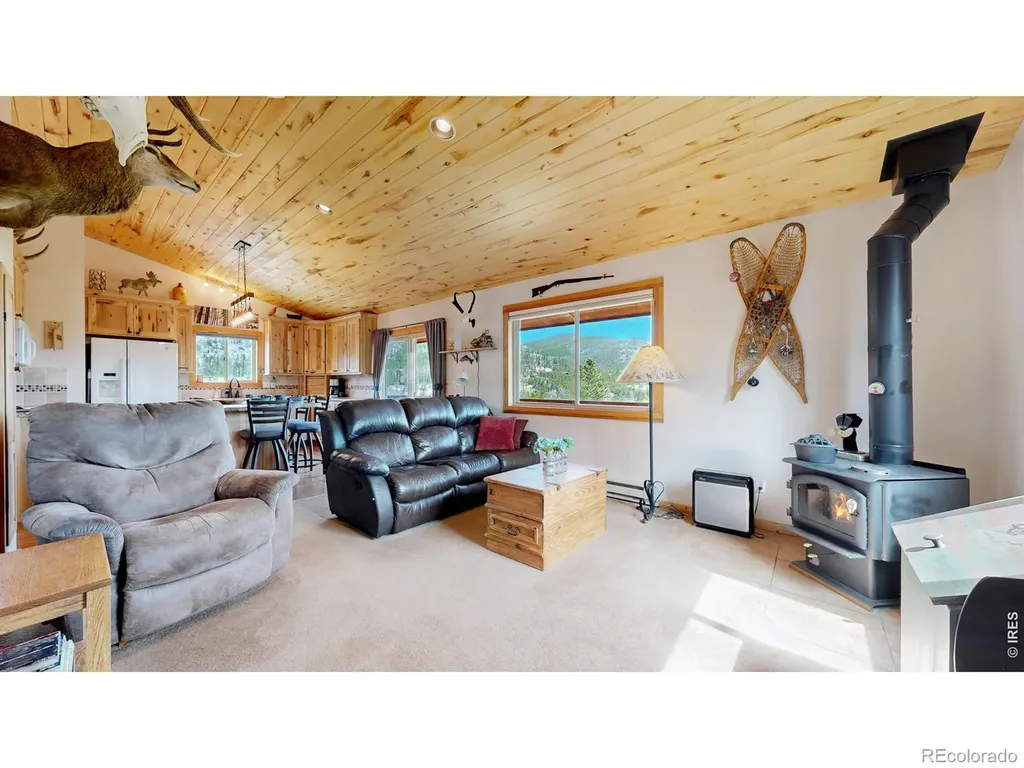 51 Tenino Court Red Feather Lakes CO 80545