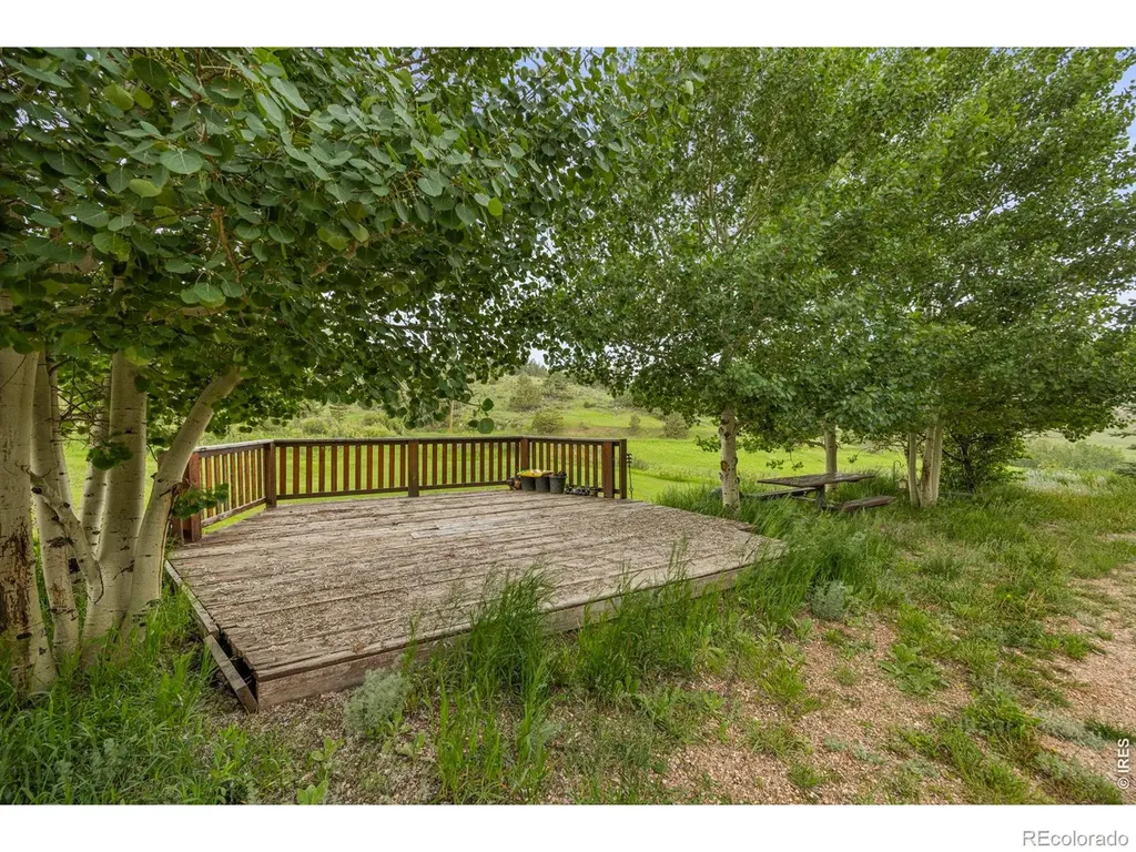 228 Mount Everest Drive Livermore CO 80536